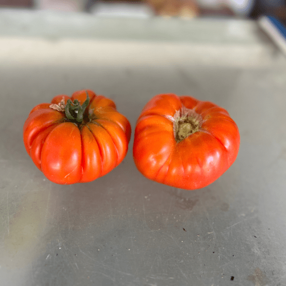 Comprar tomate online - huerta la floresta