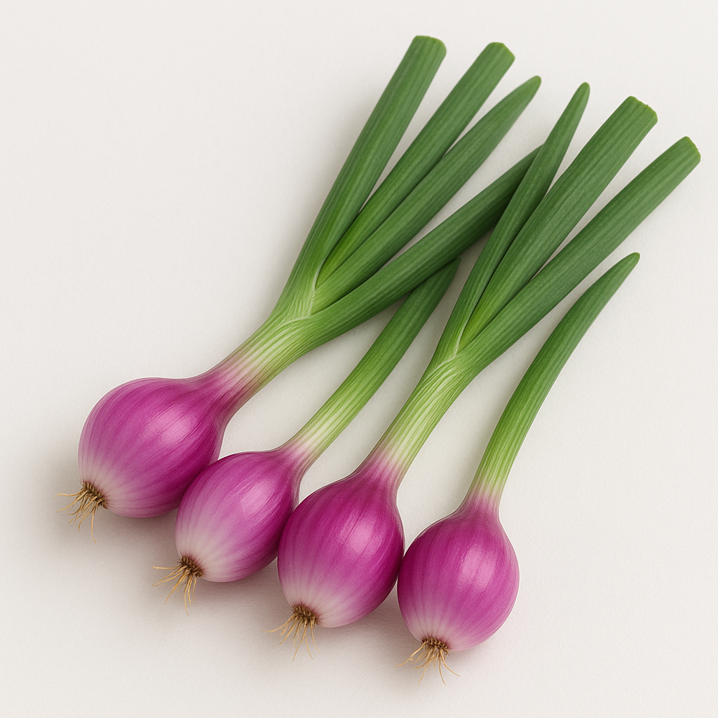 Cebolletas moradas