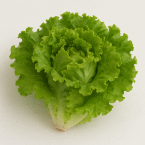 Lechuga Batavia