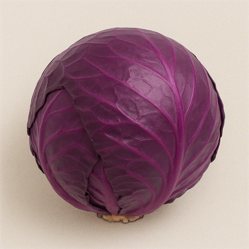 Lombarda